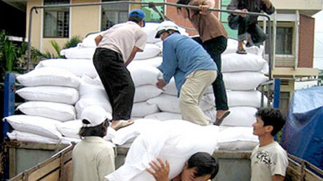 Hỗ trợ Đắk Lắk gần 500 tấn gạo cứu đói