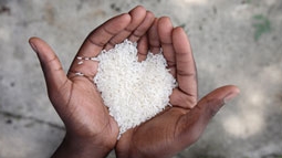 Hỗ trợ Điện Biên hơn 1 nghìn tấn gạo cứu đói