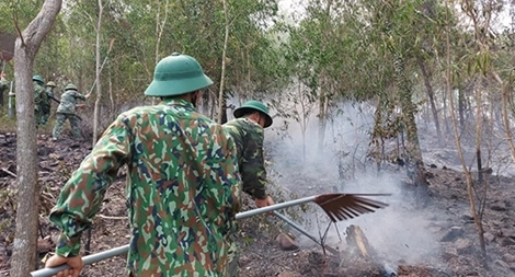 Lại thêm một vụ cháy rừng thông ở Diễn Châu